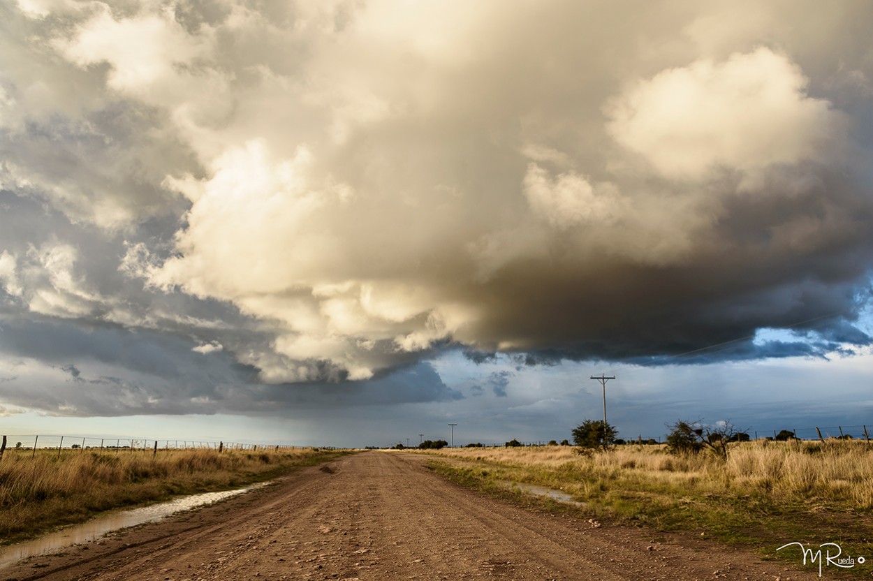 "Caminos en la Pampa" de Meire Rueda