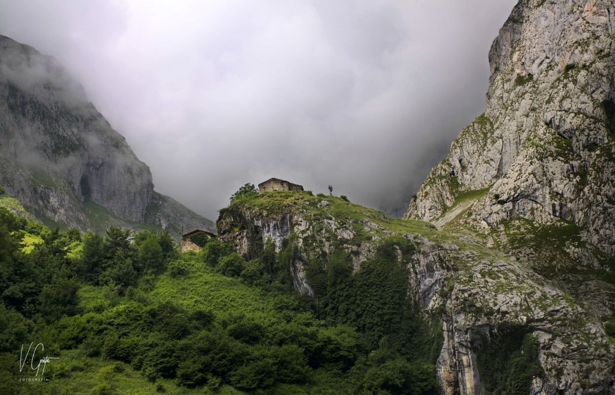 "Bajo el cielo de Bulnes" de Viviana Genta