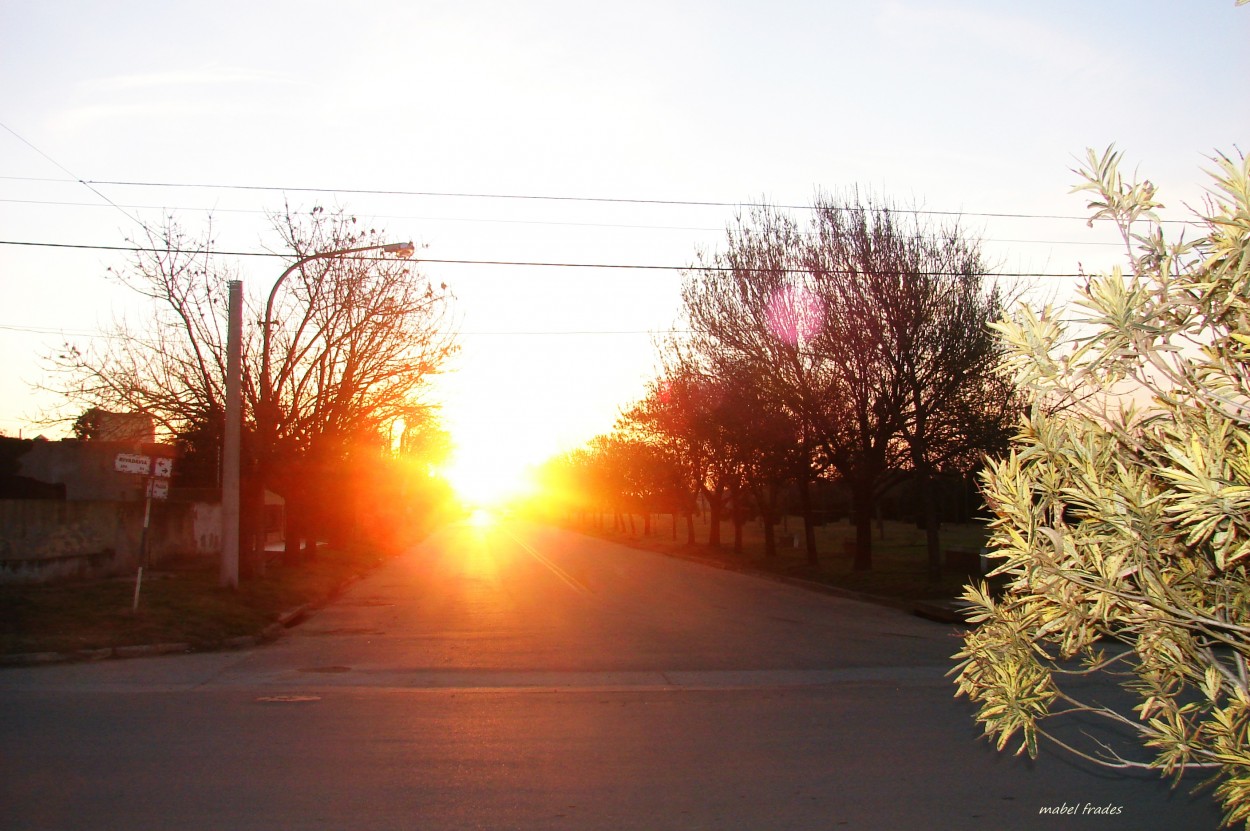 "mi calle," de Mabel Frades