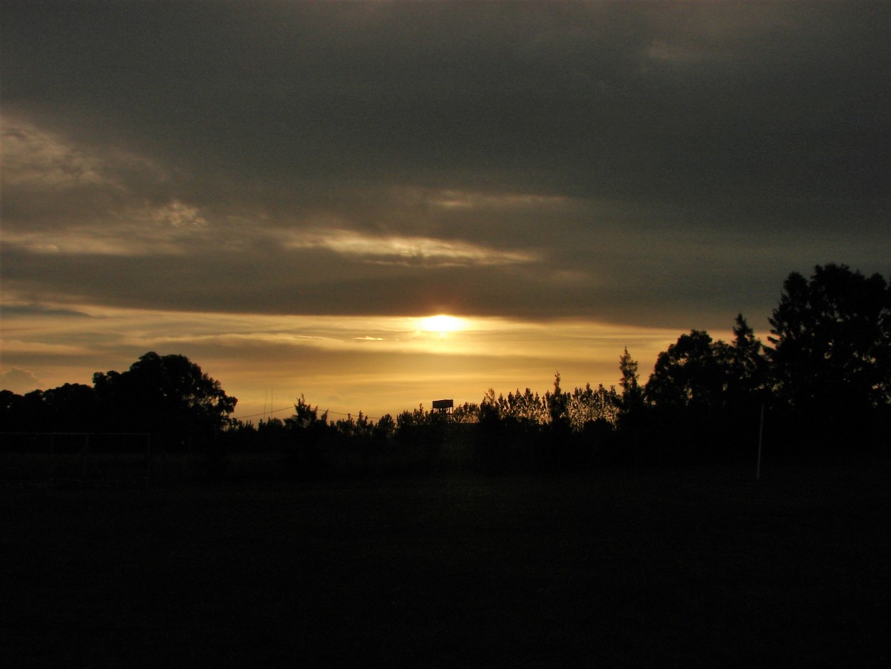 "El atardecer" de Nicolas Bustamante