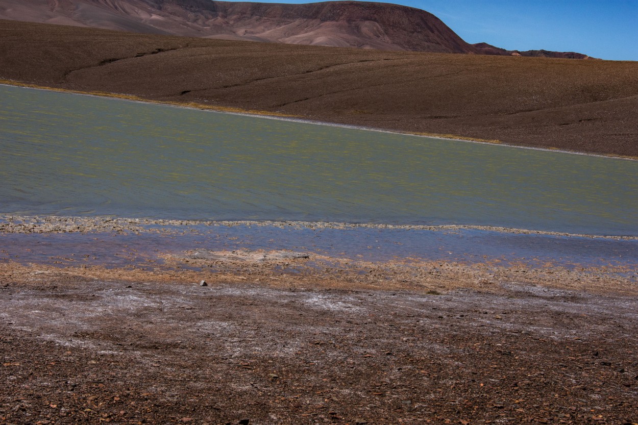 "` LAGUNA VERDE `" de Graciela Larrama