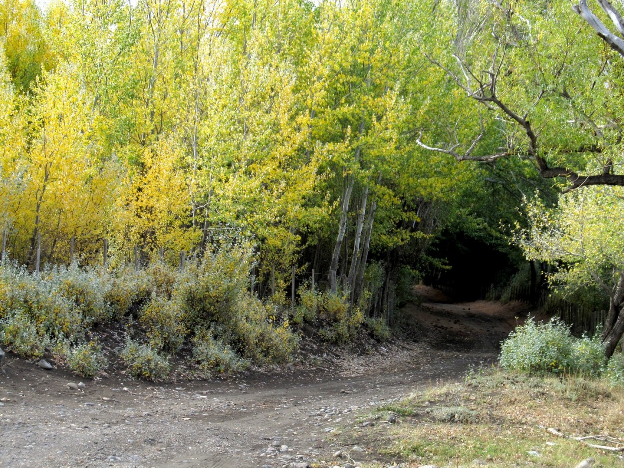 "La cueva" de Carlos D. Cristina Miguel