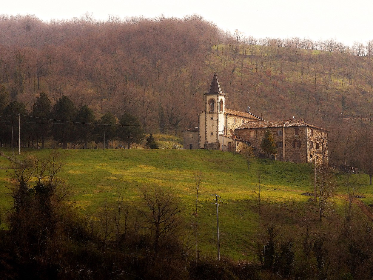 "Zarzales" de Gerardo Saint Martn