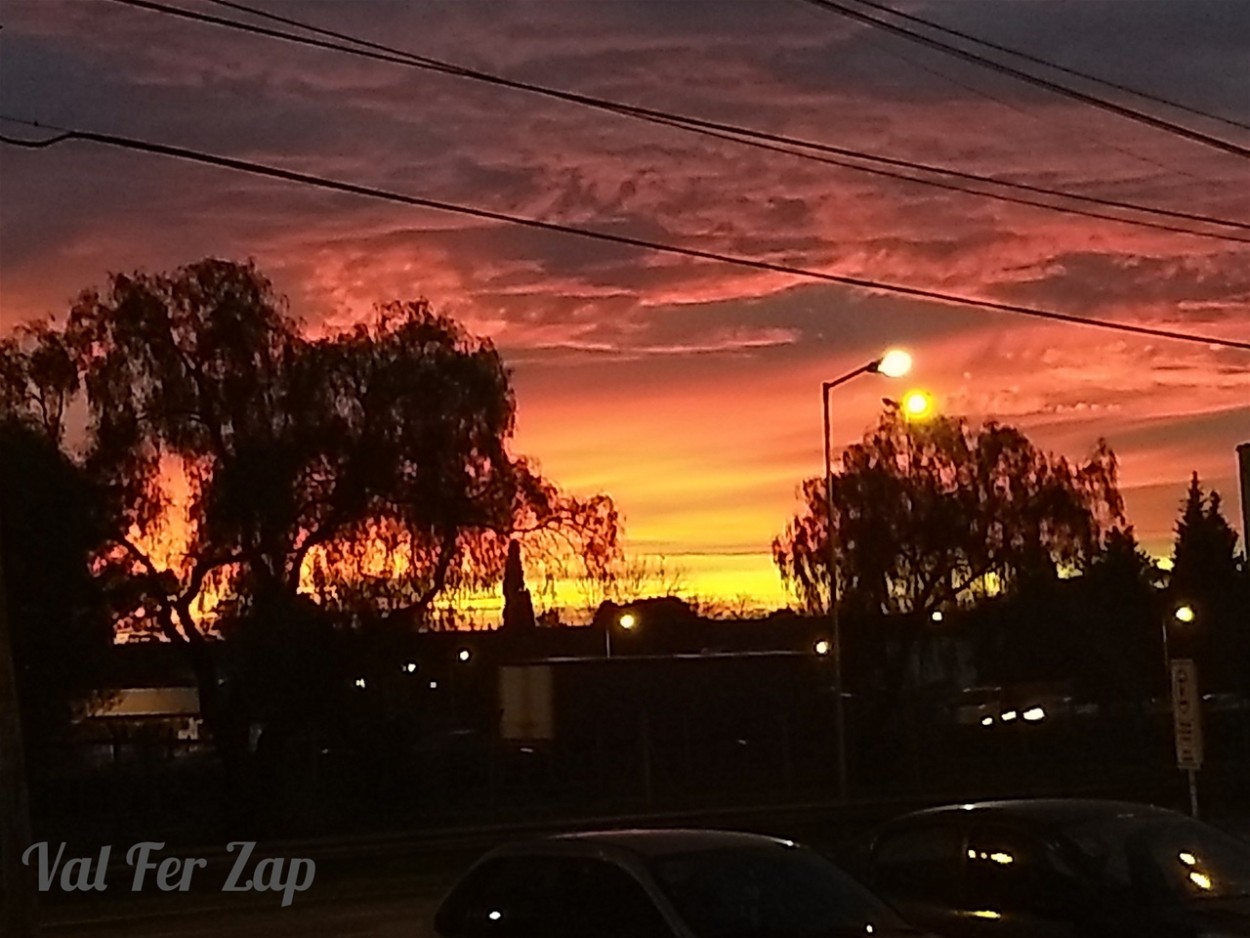 "Cielo de fuego" de Valeria Zapata