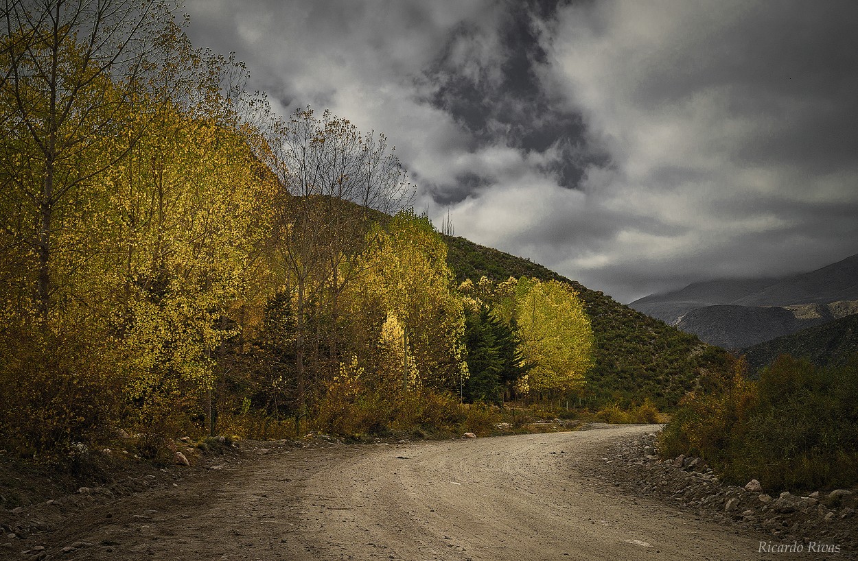 "`Camino en otoo`" de Ricardo Rivas