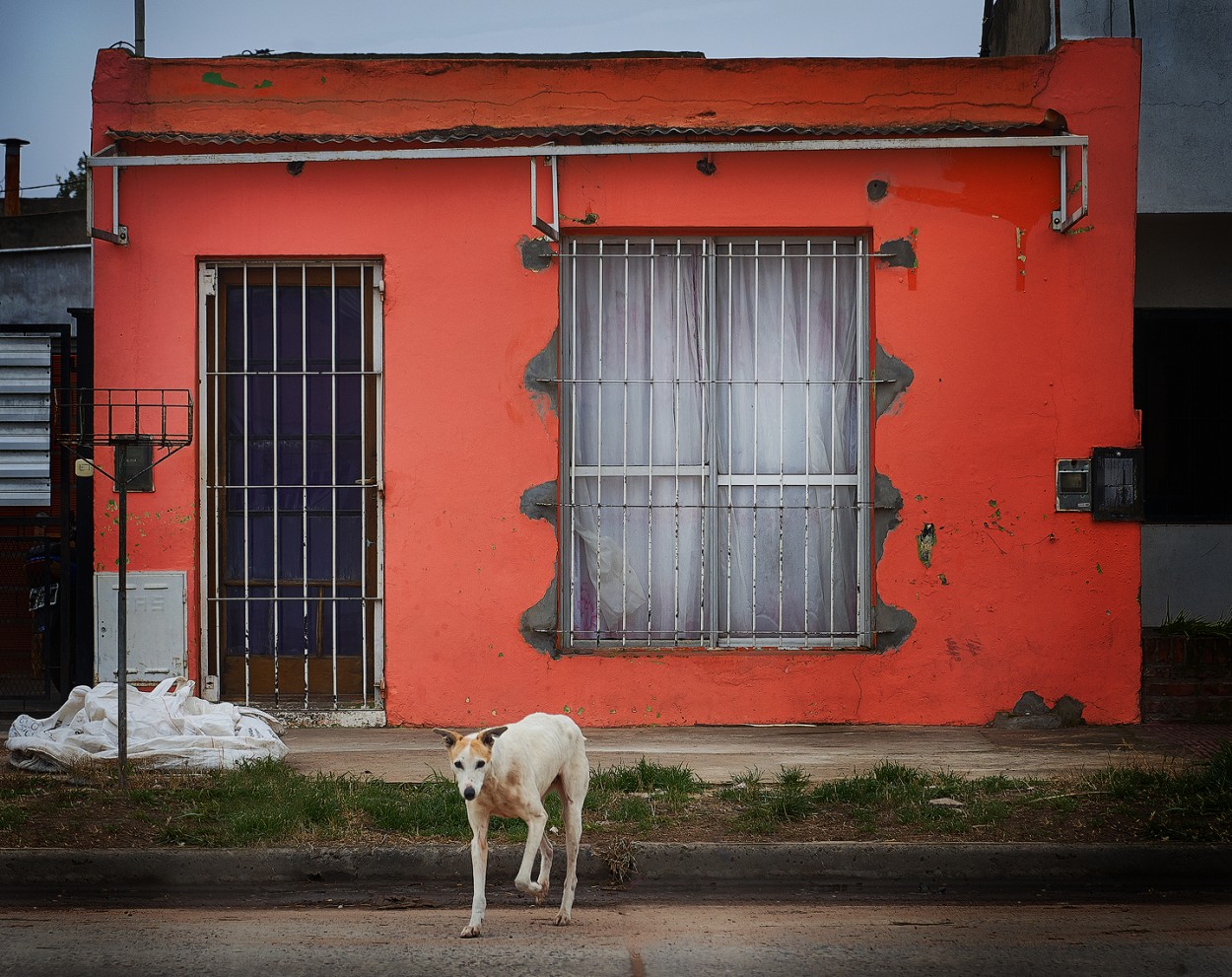 "Por cruzar" de Fernando Valdez Vazquez