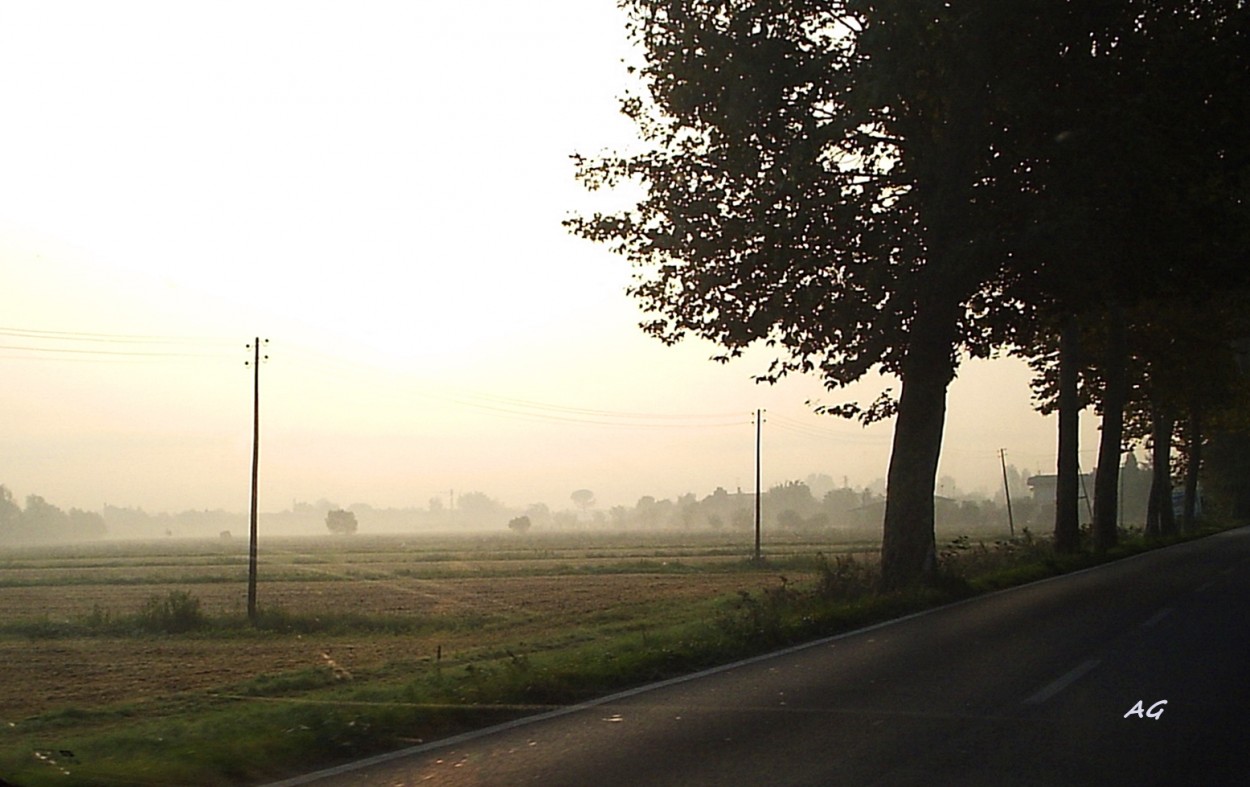 "amaneciendo en la Campigna italiana" de Ana Giorno