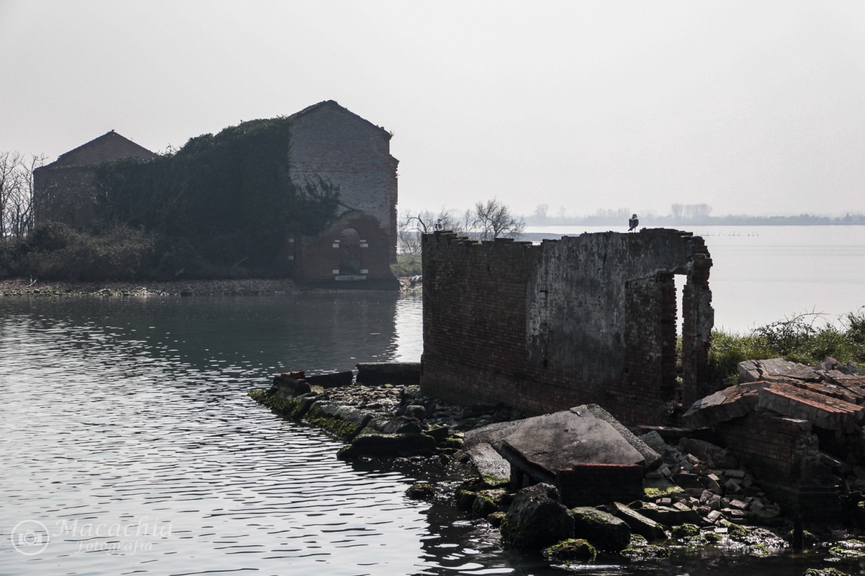 "`Viga de las ruinas`" de Mara Del Carmen Chiavaro