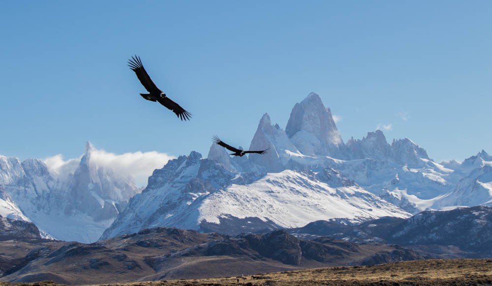 "Libres" de Luis Torres Sal