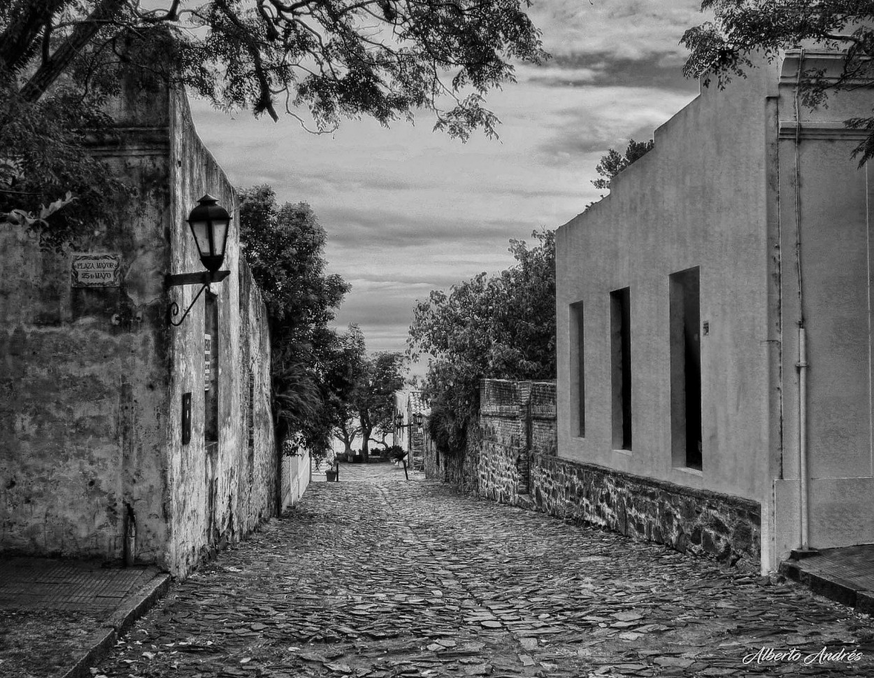 "Camino a la Plaza Mayor" de Alberto Andrs Melo