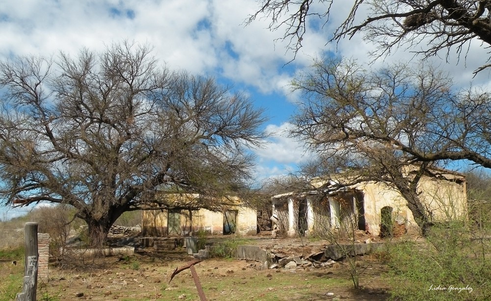 "la estancia" de Lidia Gonzalez