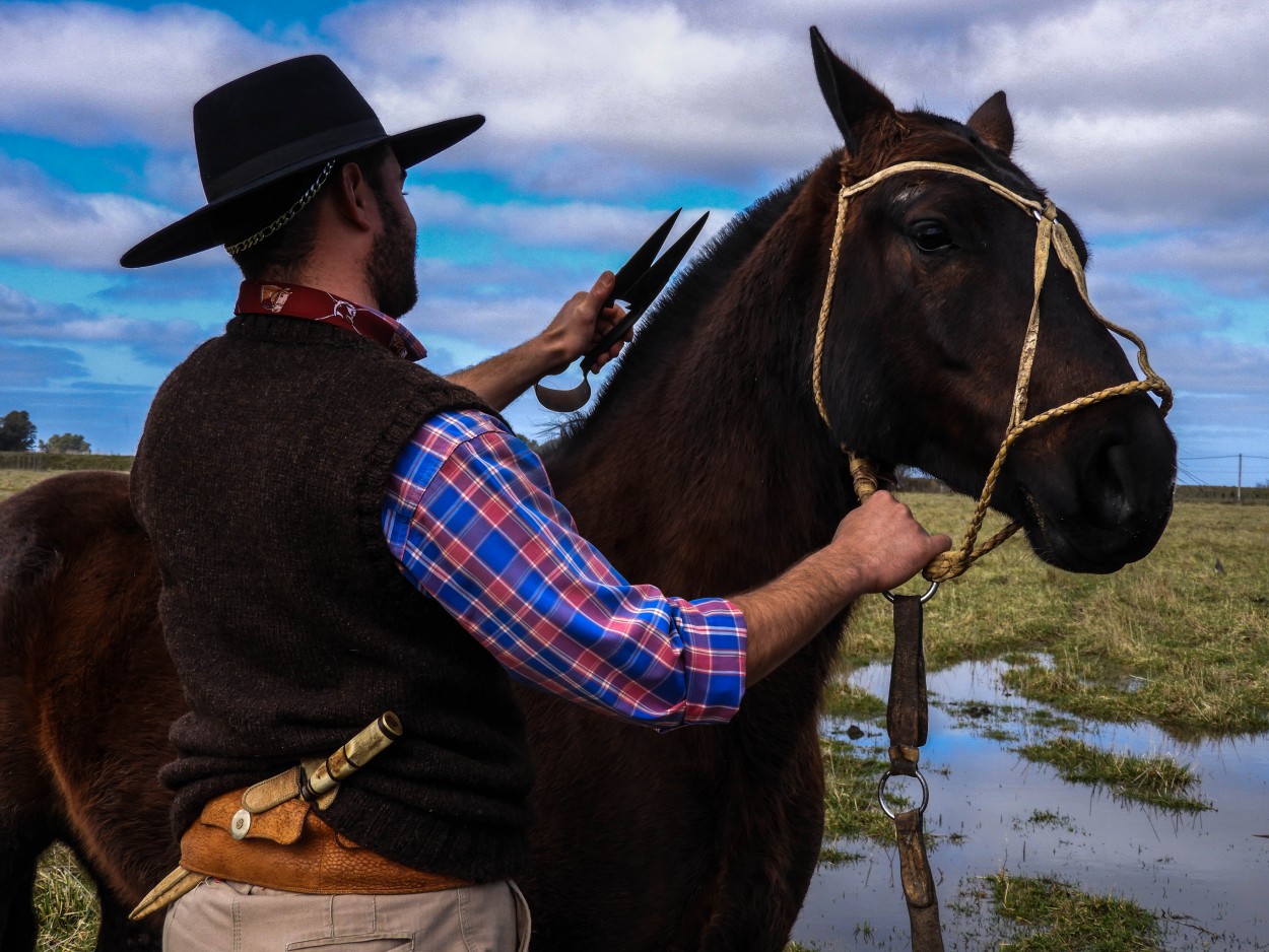 "Mi pingo, mi amigo" de Gonzalez Sofia