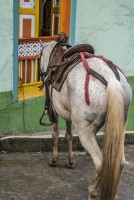 La espera...