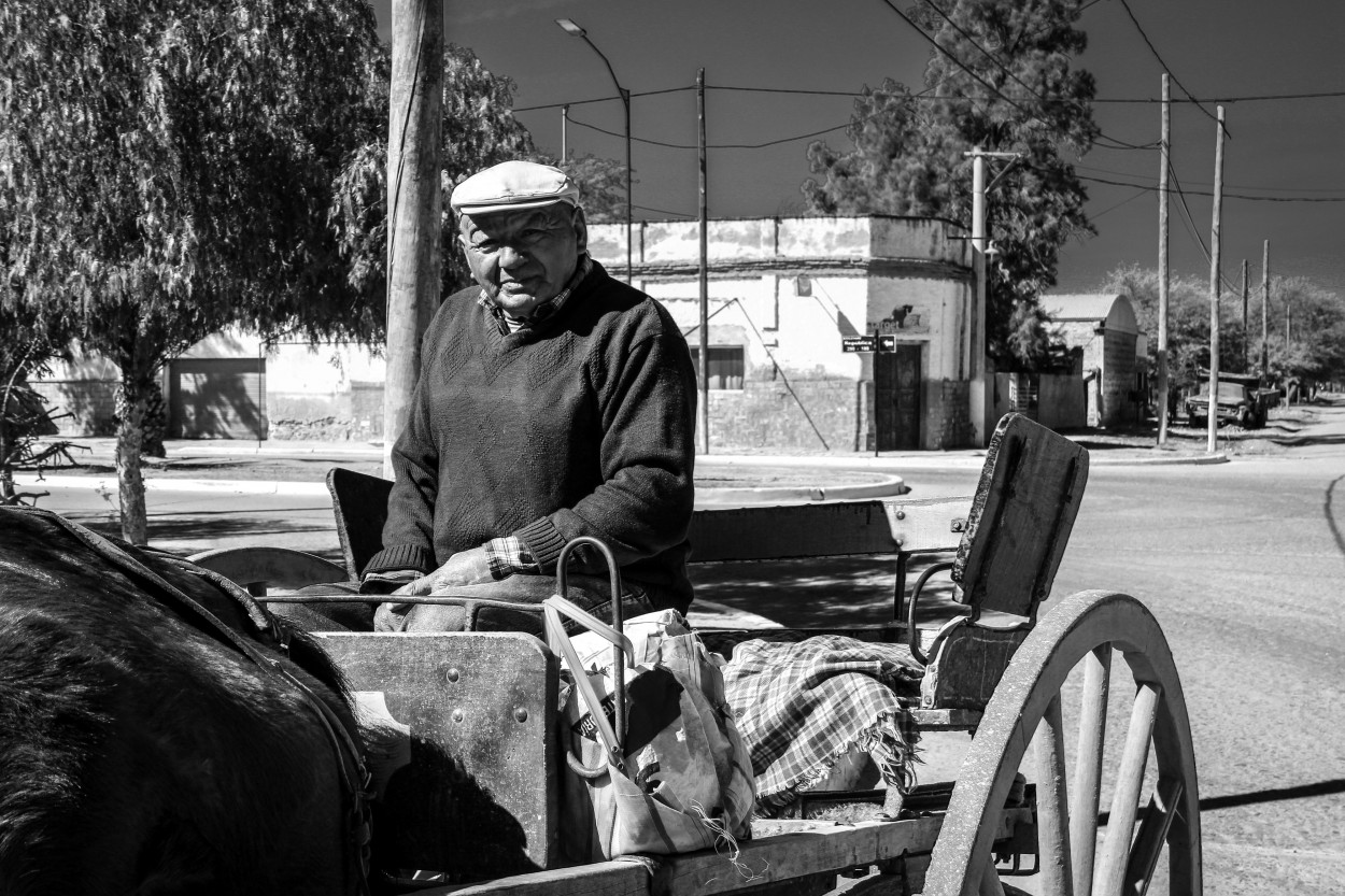 "Mandados en Sulky" de Marzioni Martn Luis