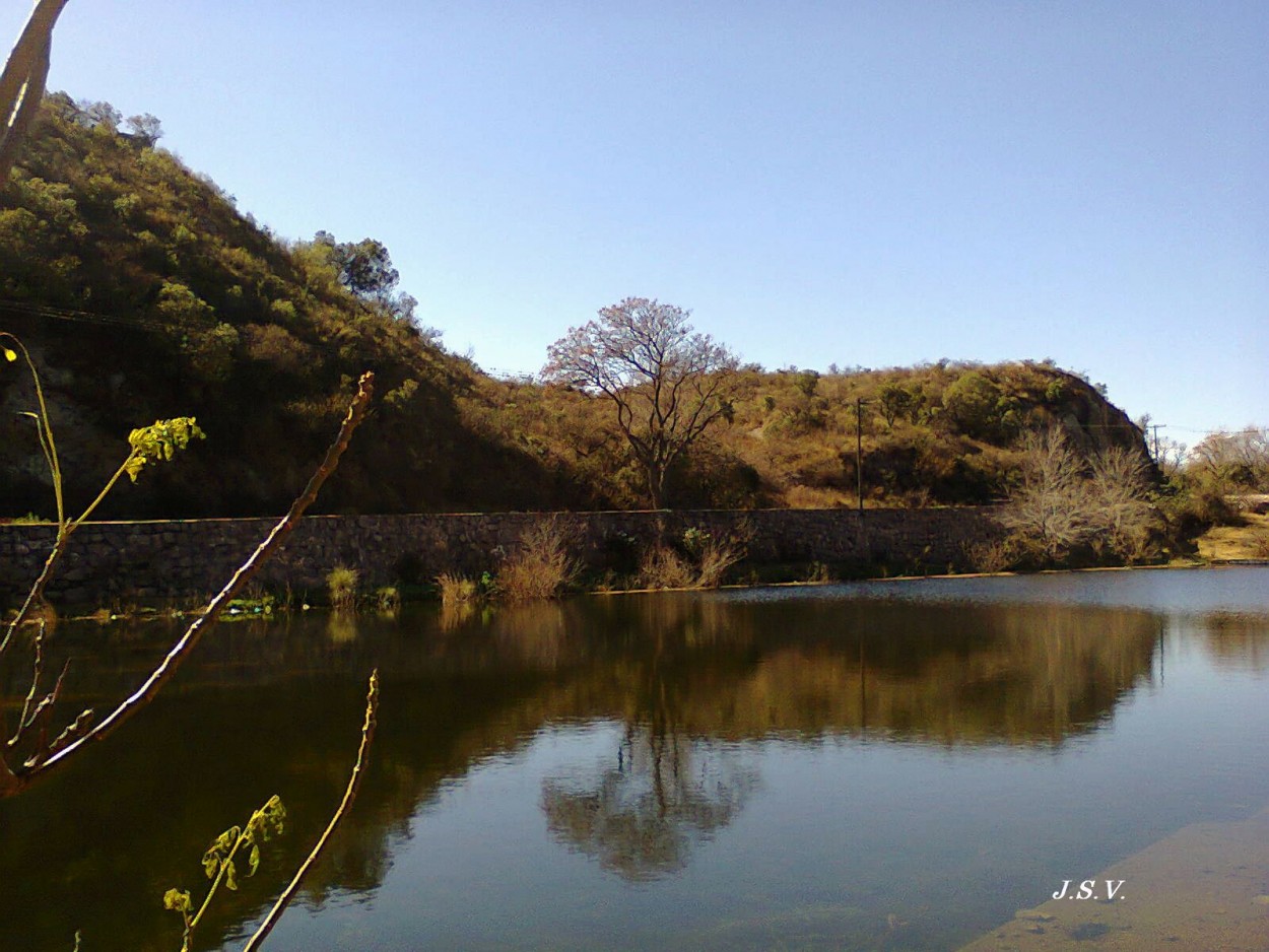 "Mirndose en la Laguna" de Jorge Vargas