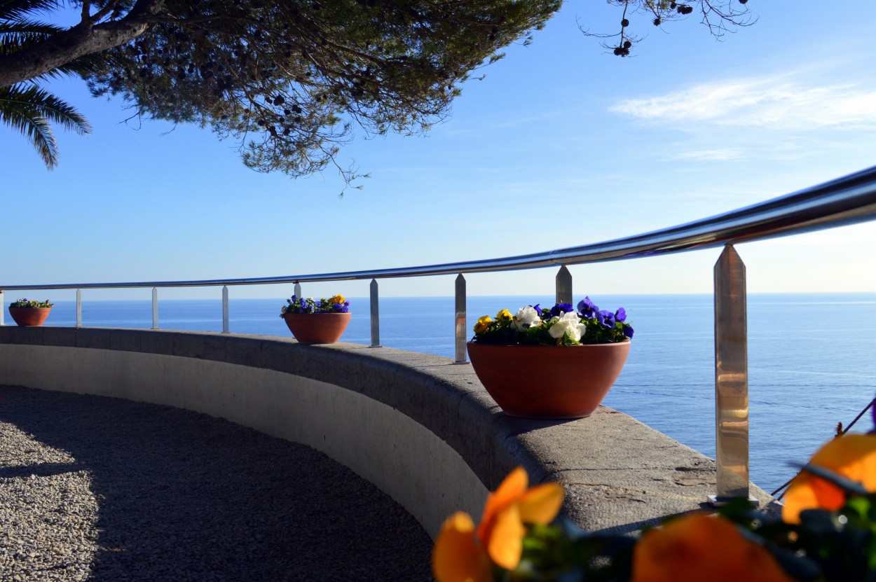 "Con vista al mar." de Ana Rosalia Scott