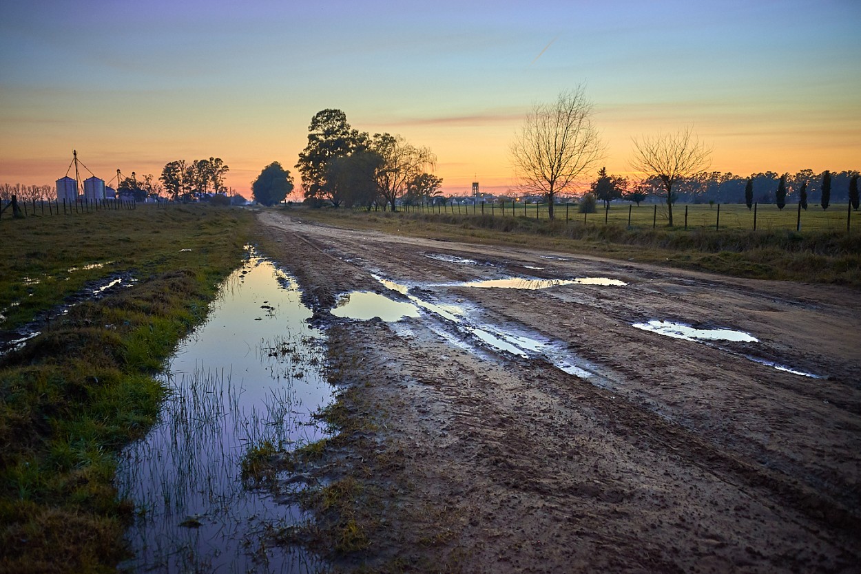 "La maana despus de la lluvia" de Fernando Valdez Vazquez