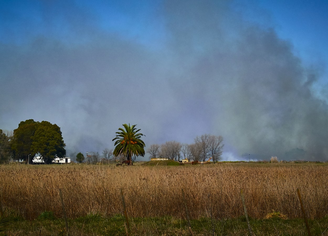 "Incendio en el campo" de Fernando Valdez Vazquez