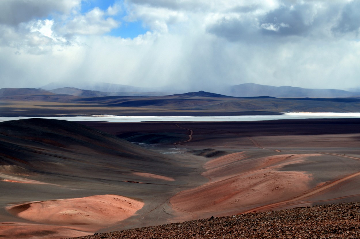 "Camino de colores II" de Ana Rosalia Scott