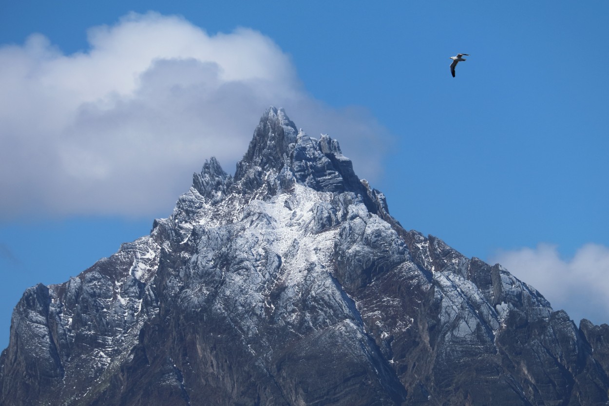 "Sobrevolando la cima" de Natalia Harosteguy