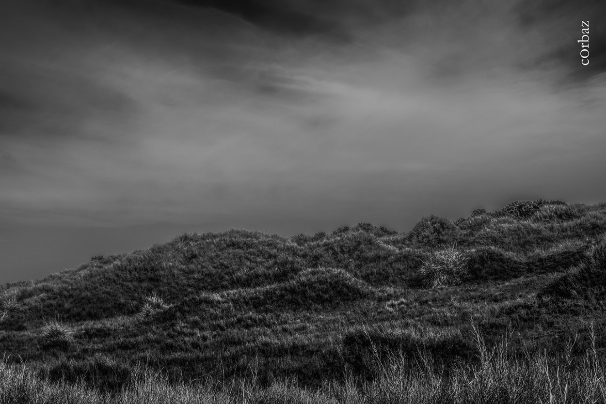 "montes de la patagonia" de Alberto Corbaz