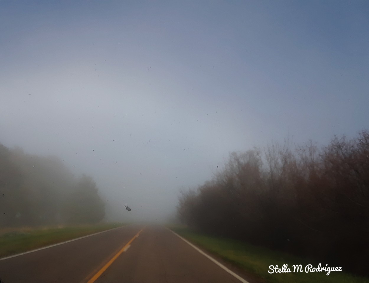 "` Mas alla la niebla ...`" de Stella Maris Rodriguez