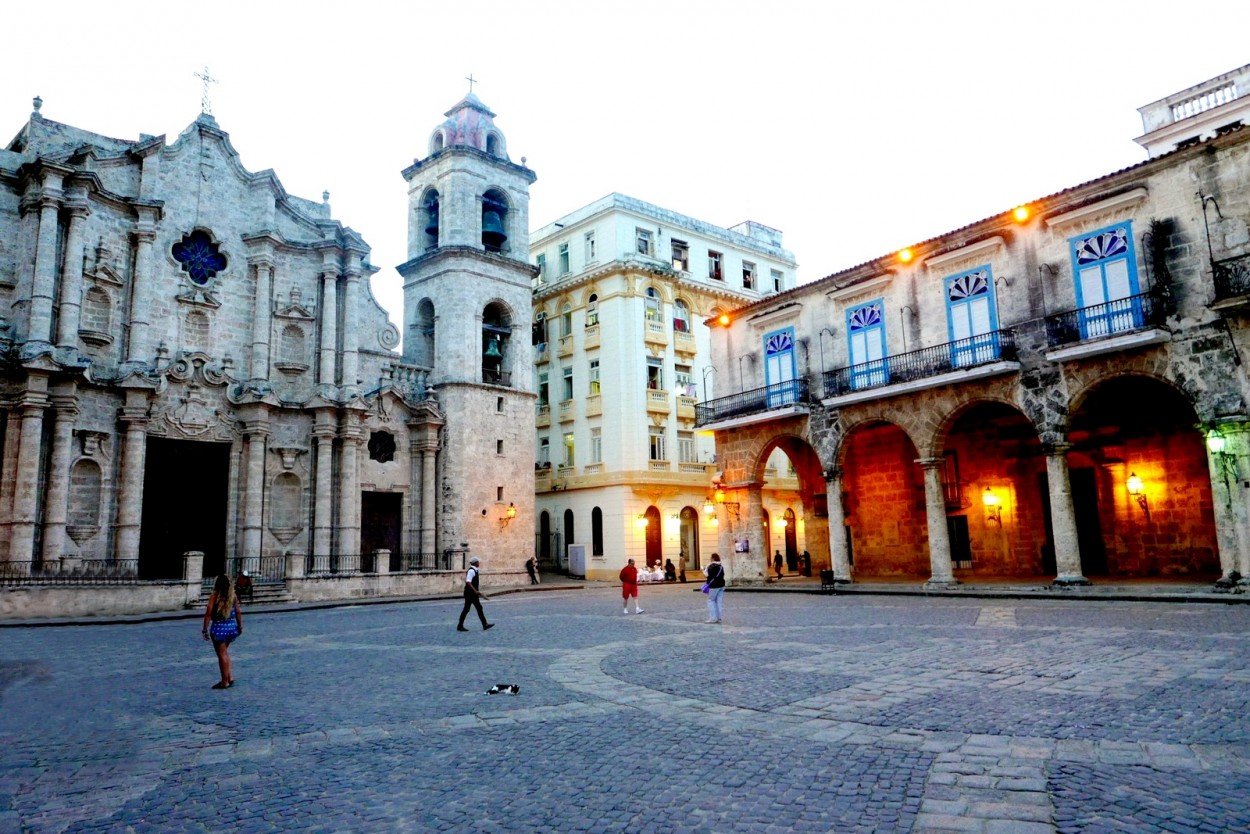 "La Catedral y el gatito." de Carlos E. Wydler