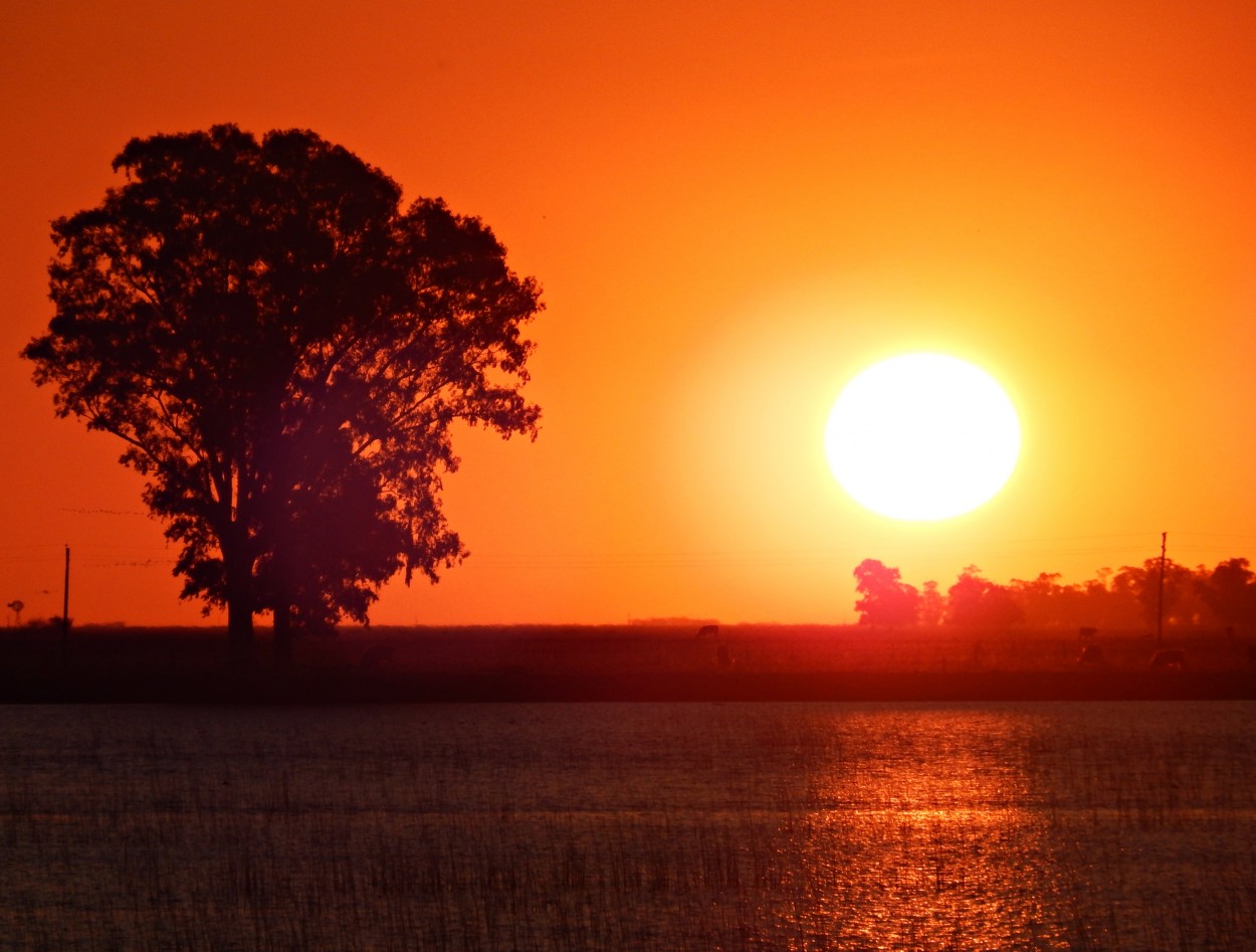 "Atardecer desde la ruta" de Jos Luis Mansur