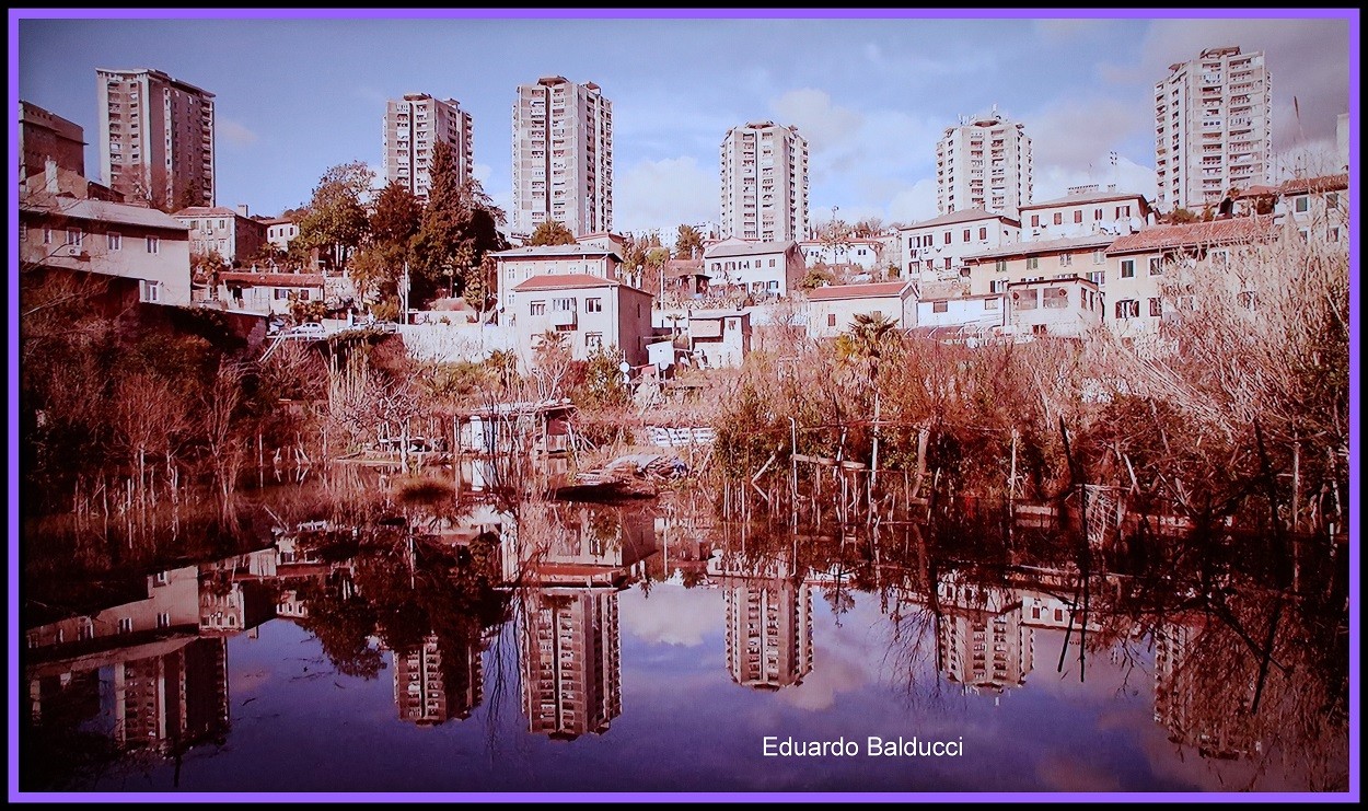 "reflejos" de Eduardo Alfredo Balducci