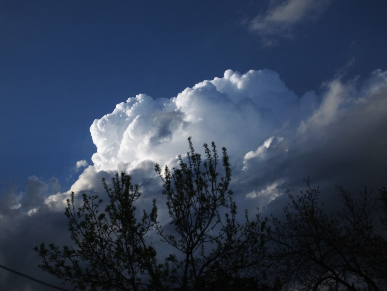 "Presagio de tormenta" de Juan Fco. Fernndez