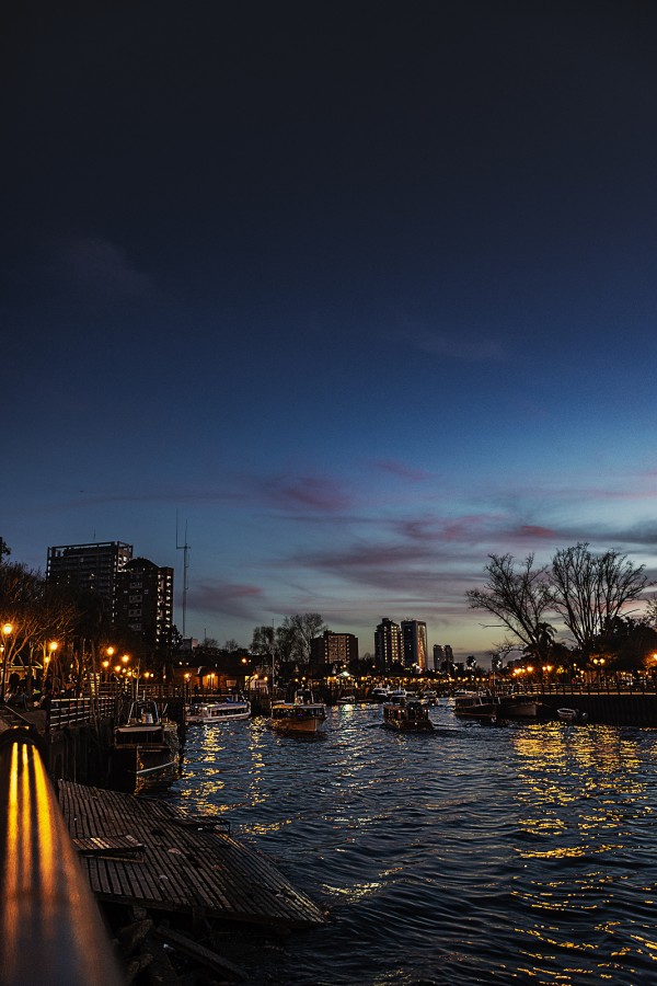 "Tigre Azul" de Marcelo Belletti