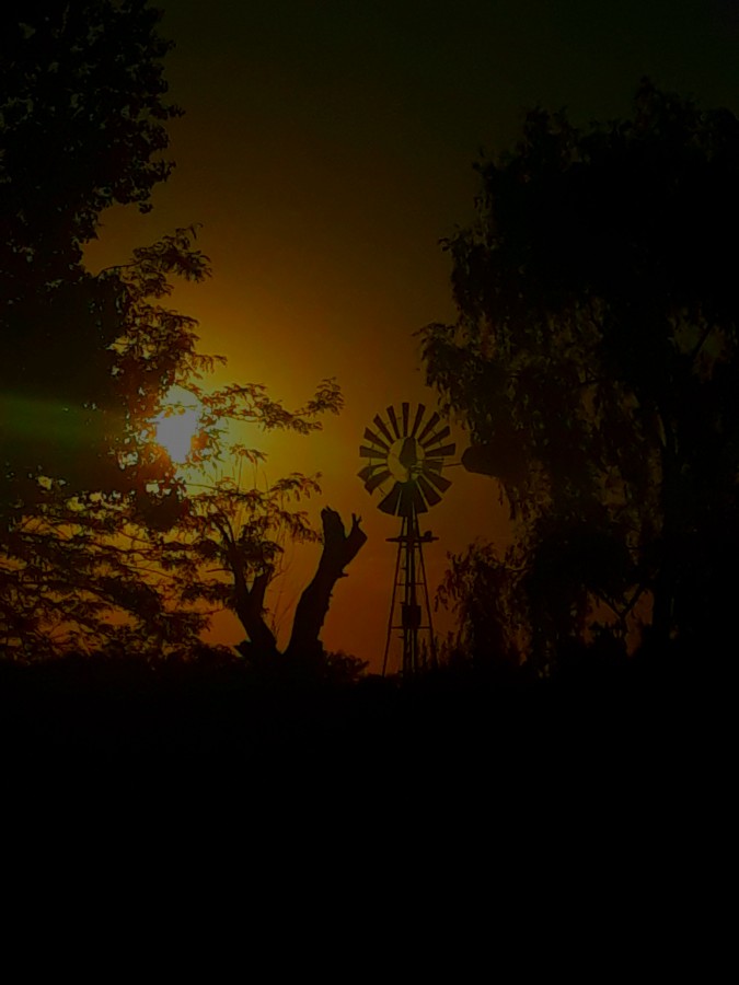 "Ocaso en el campo" de Santiago Mena