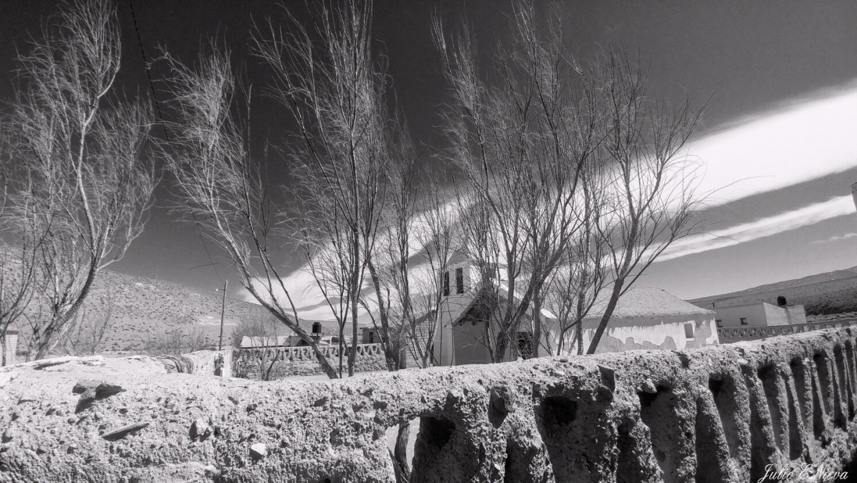 "La primavera se hace esperar..." de Julio Ernesto Nieva