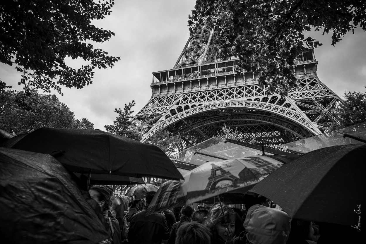 "Les Parapluies..." de Carmen Esteban