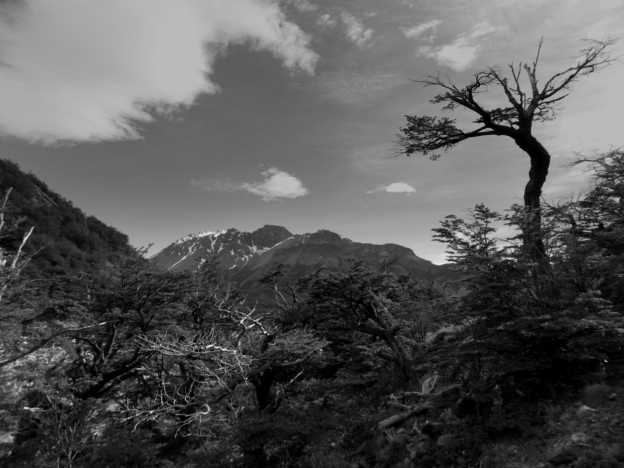 "Mirando el cielo." de Ana Rosalia Scott