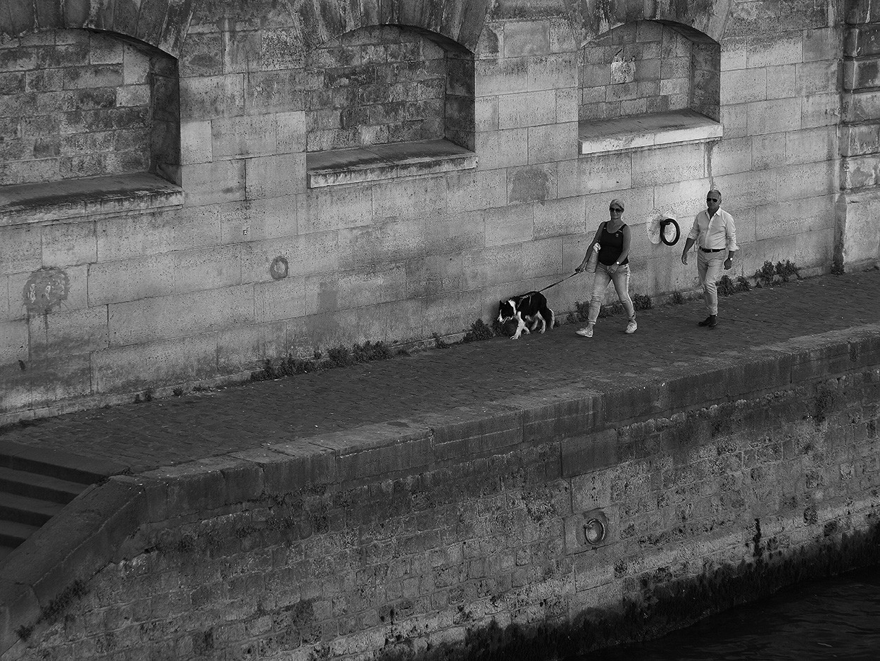 "C`tait un border collie g de deux ans..." de Gerardo Saint Martn