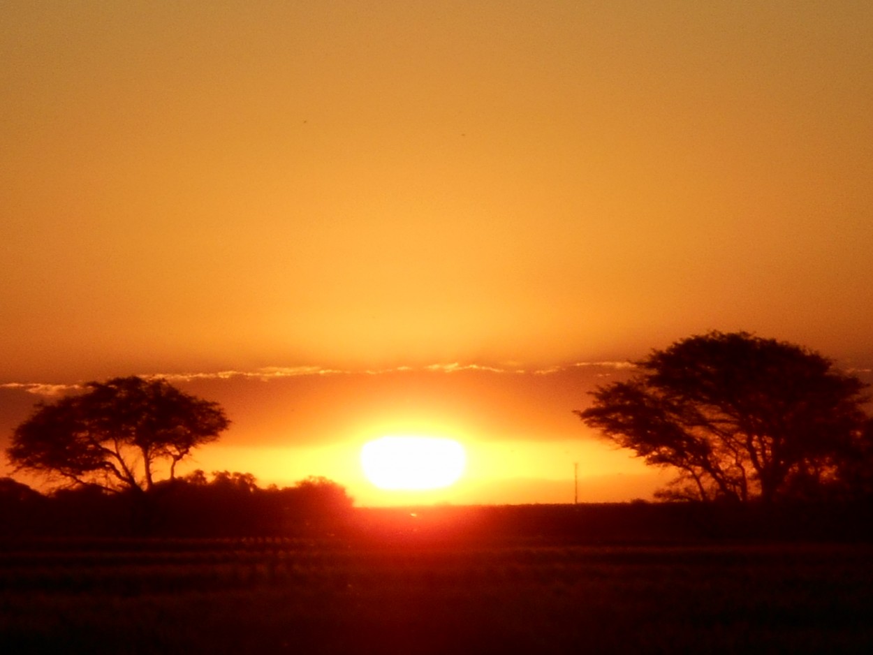 "ATARDECER MAGICO" de Griselda Salavagione