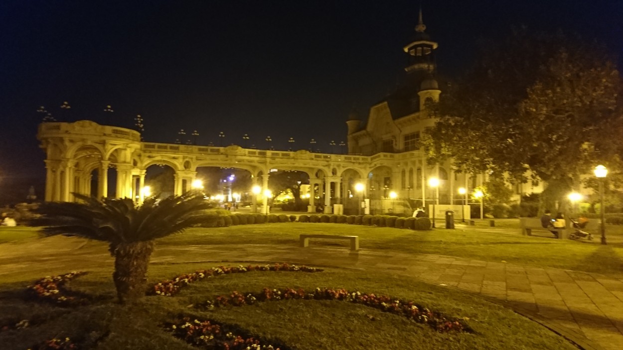 "Tigre hotel" de Jose Luis Bordignon