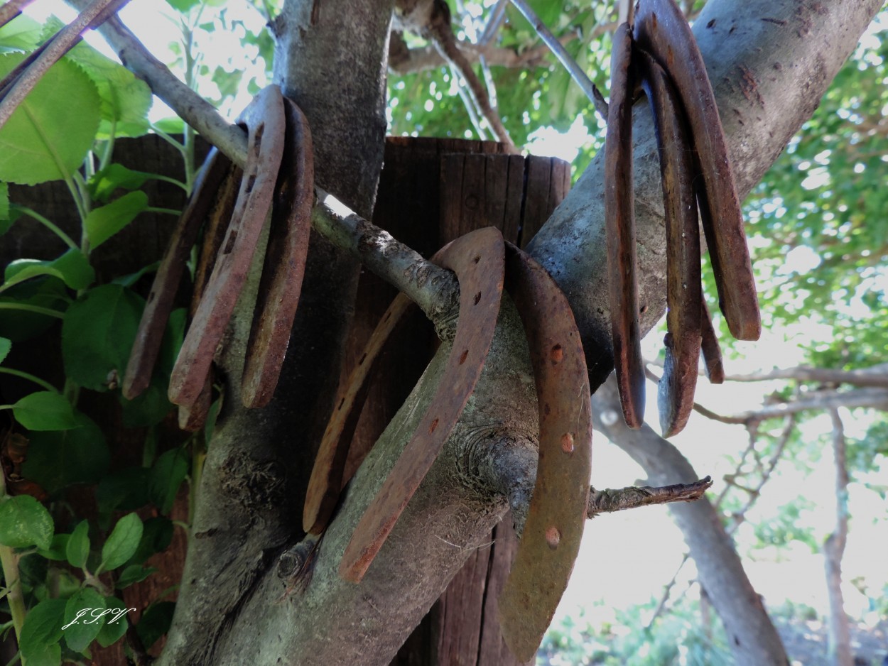 "Herraduras oxidadas" de Jorge Vargas