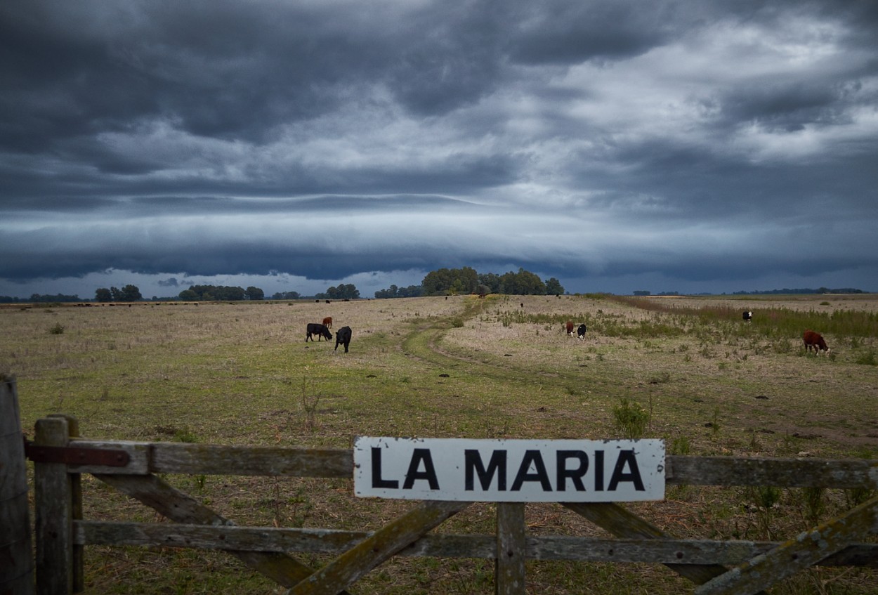 "La Mara" de Fernando Valdez Vazquez