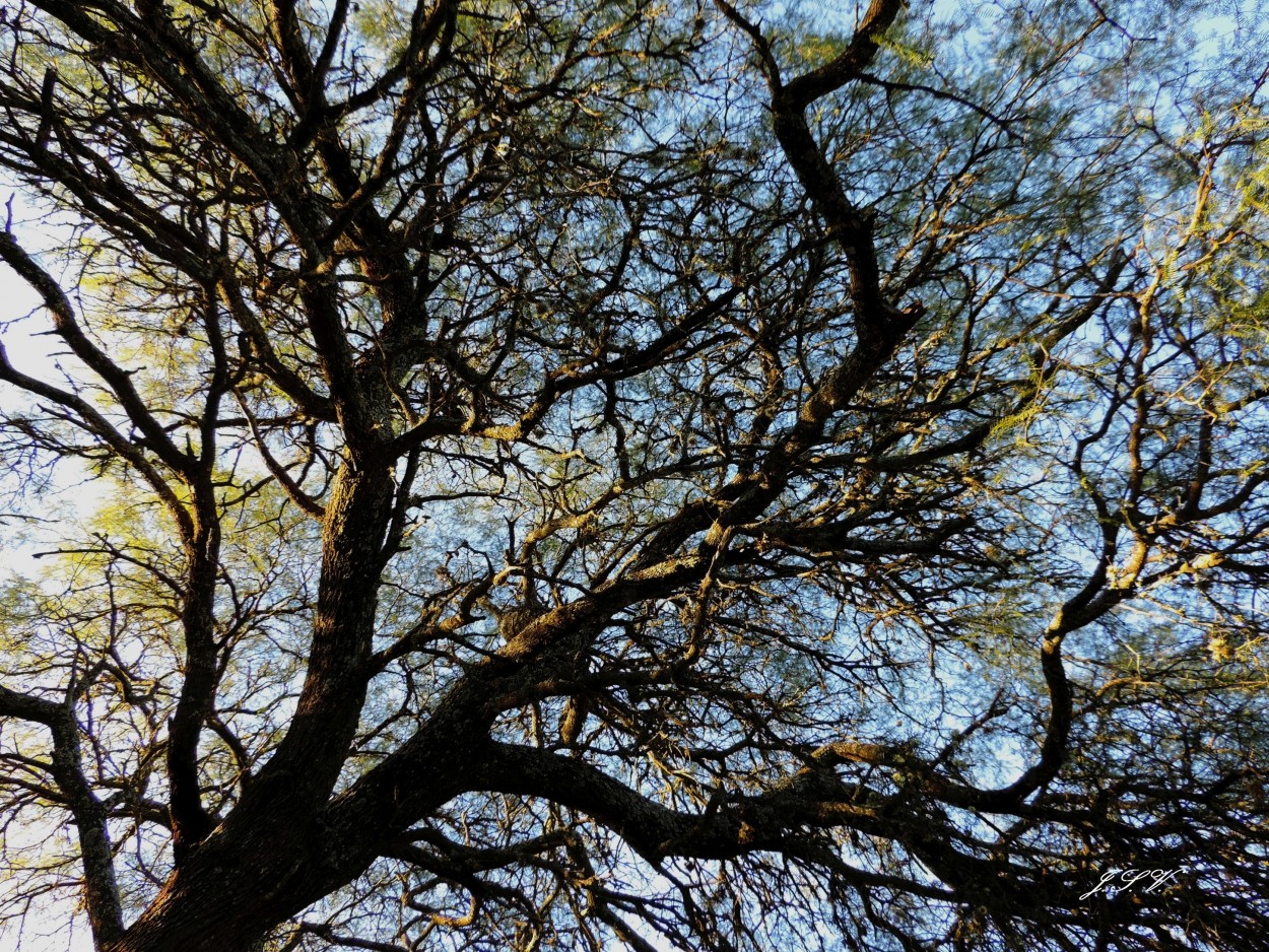 "Cielo quebrado" de Jorge Vargas