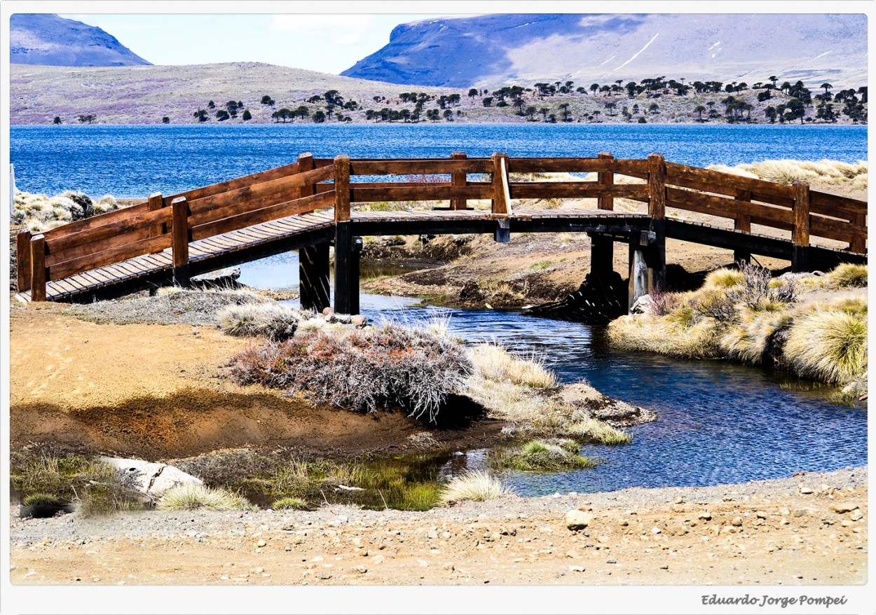 "El puente del arroyo" de Eduardo Jorge Pompei