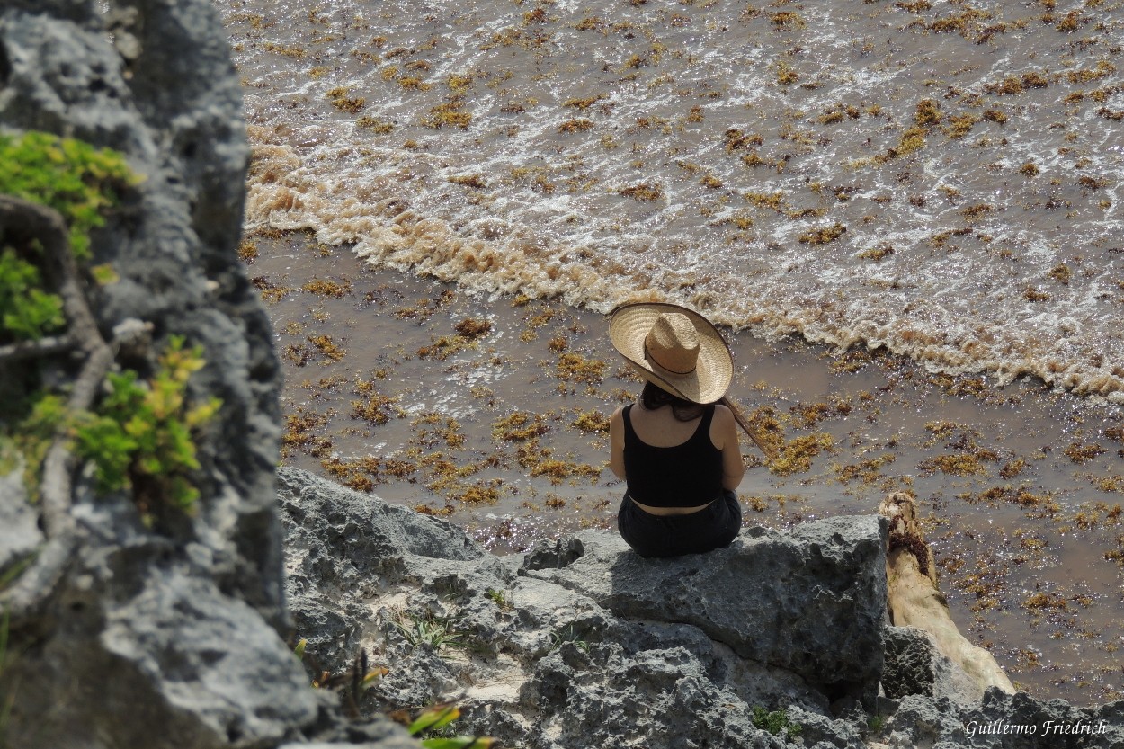 "Ella y el mar" de Guillermo Friedrich