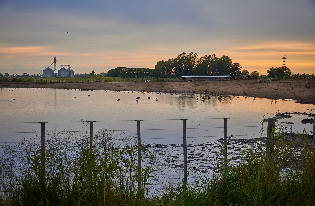 "Los silos y la laguna" de Fernando Valdez Vazquez