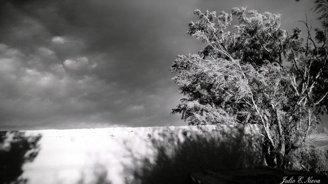 "Sombras nada ms..." de Julio Ernesto Nieva