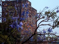 Biblioteca central UNAM