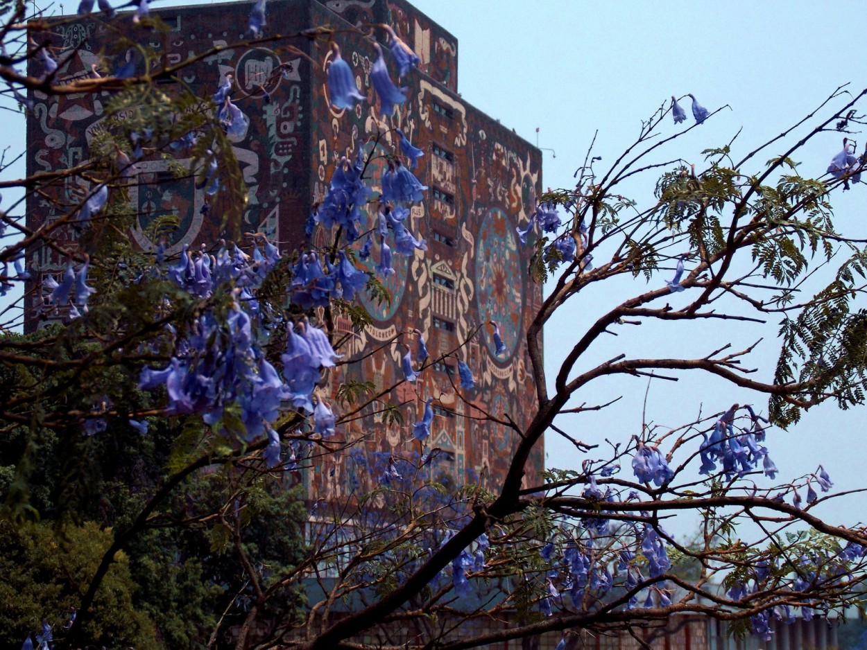 "Biblioteca central UNAM" de Eduardo Prez