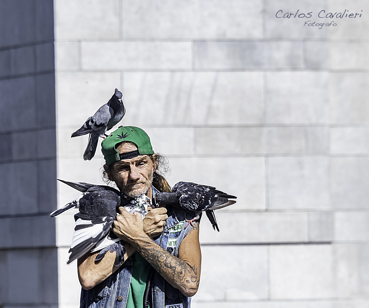 "ElRey de las palomas" de Carlos Cavalieri