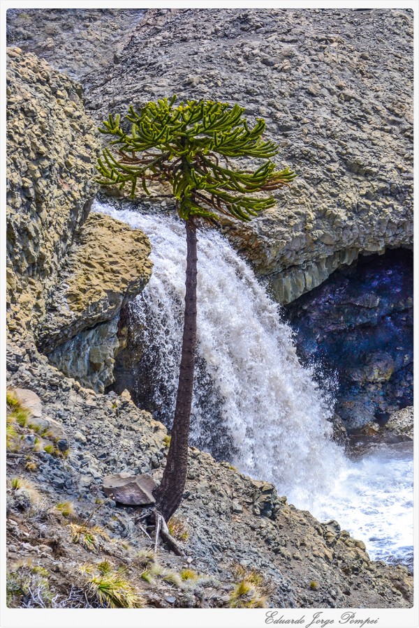 "Cascada del Basalto - Caviahue (Nqn)" de Eduardo Jorge Pompei