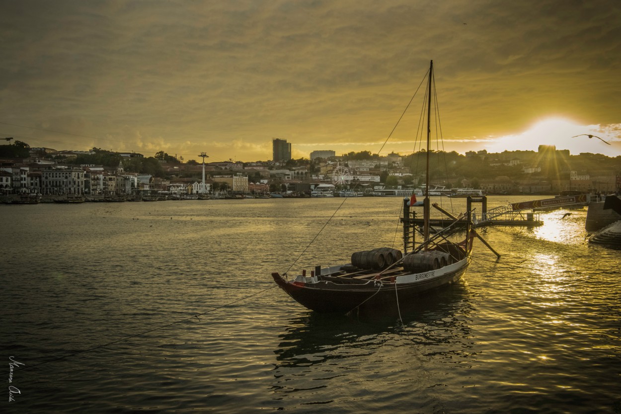 "Douro Dorado..." de Carmen Esteban